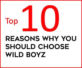 Top 10 reasons to choose Wild Boyz